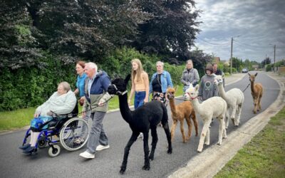 Op stap met de Alpaca’s